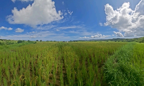 OPPORTUNITE D'INVESTISSEMENT: Domaine Résidentiel Vue Mer
