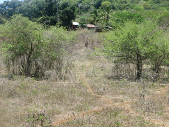 A vendre, terrain à Antanamitarana