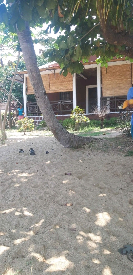 A louer, charmante maison de 3 pièces les pieds dans l’eau 