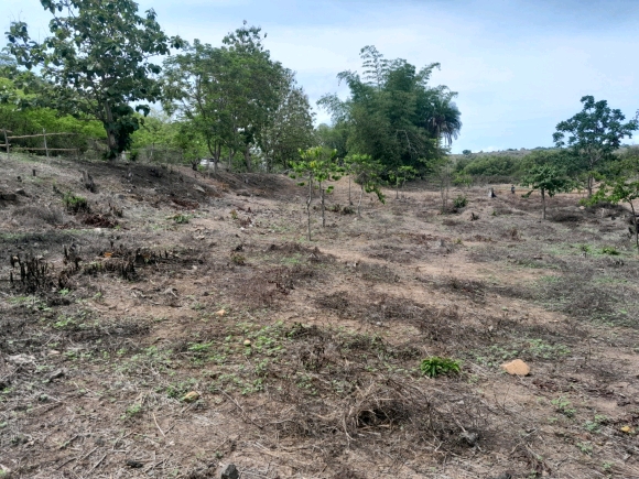 À vendre : Terrain de 2000 m² en bord de route et proche de la mer à ne pas manquer