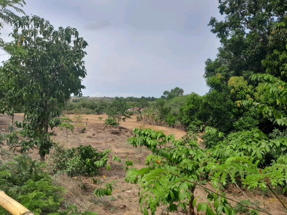 À vendre : Terrain de 2000 m² en bord de route et proche de la mer à ne pas manquer