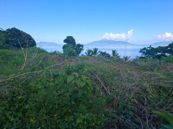 Terrain Pieds dans l’Eau avec Vue Panoramique – Nosy Faly