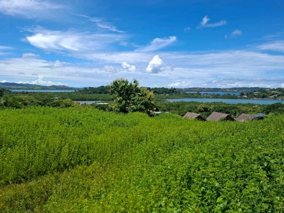 Terrain proche de la mer avec une merveilleuse vue panoramique dans un secteur en pleine