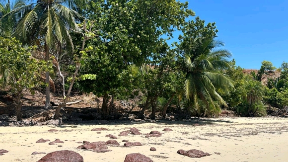 ​À vendre : Terrain plat en bord de plage sur une île paradisiaque !