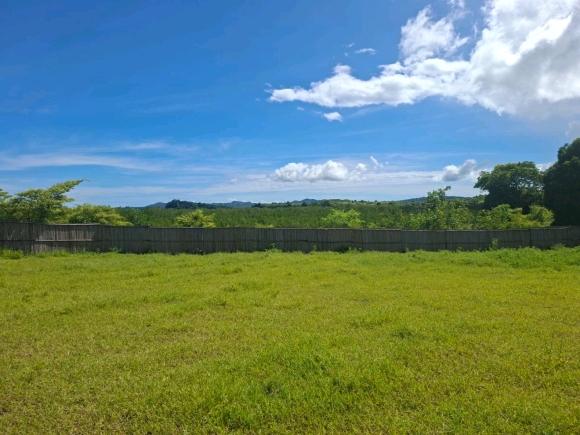 Opportunité foncière : 3 350 m² de potentiel pur face à la mangrove