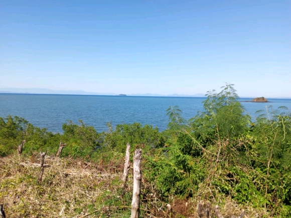 Votre Eden privé: Front de Mer, Cocotier et Vue Panoramique!