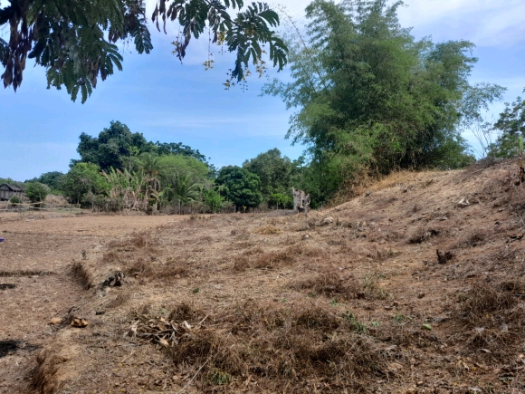 À vendre : Terrain de 2000 m² en bord de route et proche de la mer à ne pas manquer