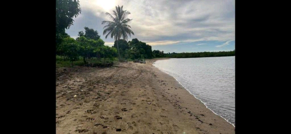 Grand terrain avec plage à prix cassé !