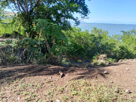 Votre Eden privé: Front de Mer, Cocotier et Vue Panoramique!