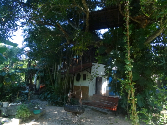 Charmante propriété de 5 823 m² avec 4 maisons dans un cadre tropical.