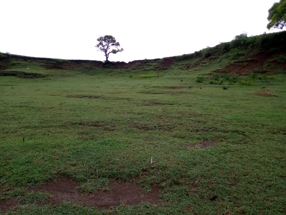 A vendre, terrain plat prêt à bâtir(3)