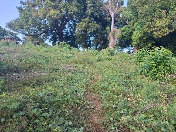 Terrain Pieds dans l’Eau avec Vue Panoramique – Nosy Faly