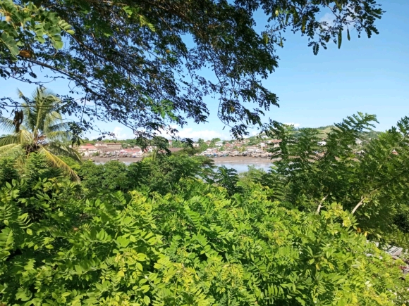 Maison à vendre à l'état - Une opportunité rare, Proche du centre-ville et port