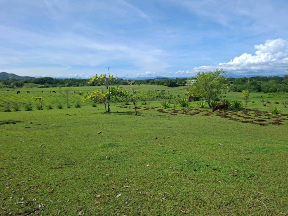 COUP DE COEUR: Votre Domaine Vue Mer dans un quartier résidentiel !