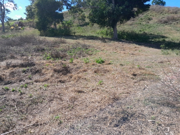 À VENDRE : Terrain d'Exception dans un Quartier Calme !