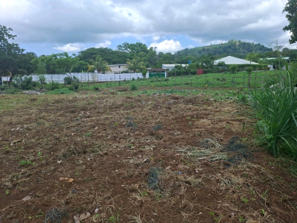 Nosy Be / Hell-Ville : L'équilibre parfait entre vie urbaine et sérénité résidentielle