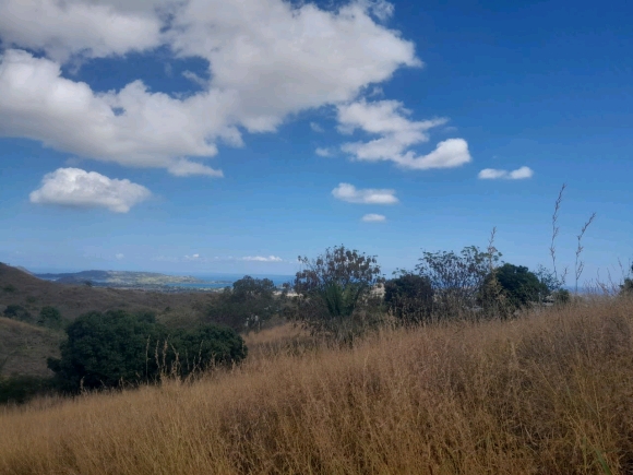 Terrain offrant une belle vue mer et sur la campagne