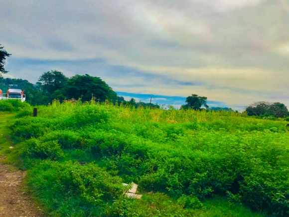 A Louer -Grand terrain de 9.876 m2 en pleine ville-Emplacement stratégique