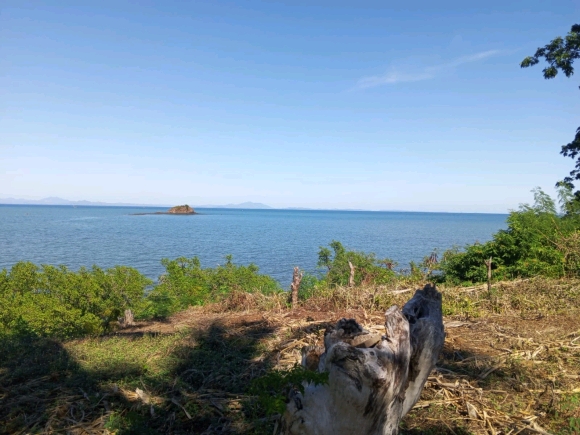 Votre Eden privé: Front de Mer, Cocotier et Vue Panoramique!