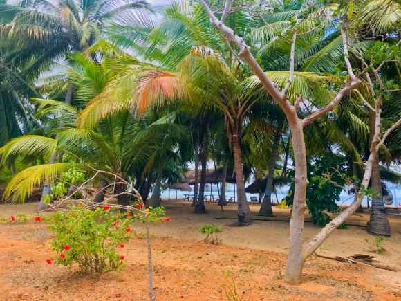 A louer -2 villas indépendantes en bord de mer avec piscine et jardin