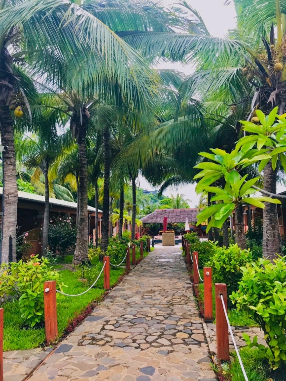 A louer, Chambre avec restaurant à proximité de la plage