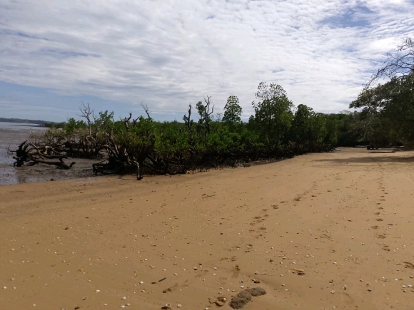 OPPORTUNITÉ RARE – TERRAIN PIEDS DANS L’EAU À ANTAFIANAMBITRY, NOSY BE