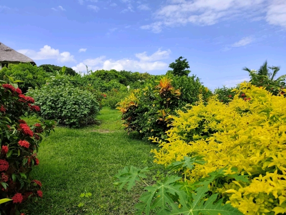 À VENDRE – Superbe Villa de Standing avec Vue Mer – Nosy Be