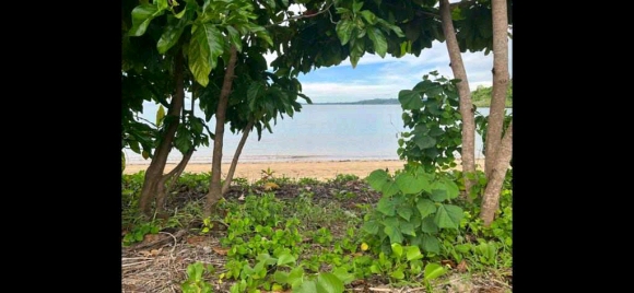 Grand terrain avec plage à prix cassé !