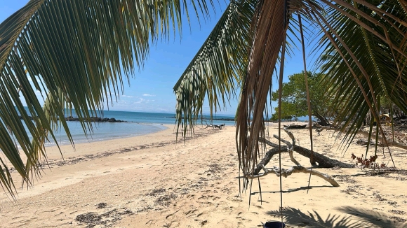 ​À vendre : Terrain plat en bord de plage sur une île paradisiaque !