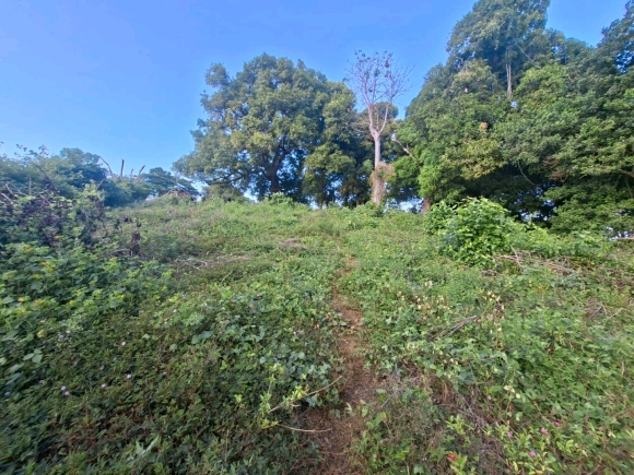 Terrain Pieds dans l’Eau avec Vue Panoramique – Nosy Faly