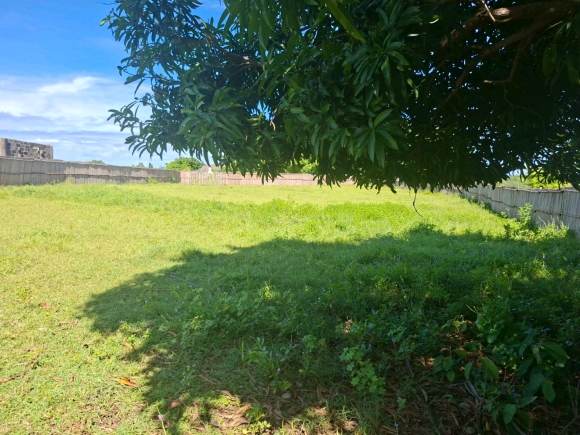 Opportunité foncière : 3 350 m² de potentiel pur face à la mangrove