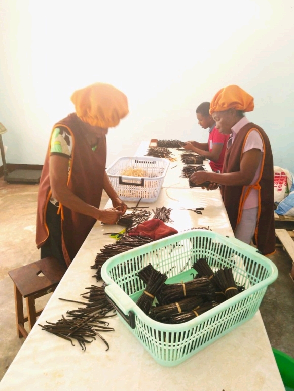 OPPORTUNITE: CESSION DE SARL AVEC AGREMENTS EXPORT VANILLE & GIROFLE (2025-2026)